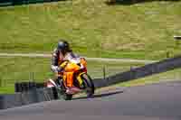 Advanced Group Orange Bikes
